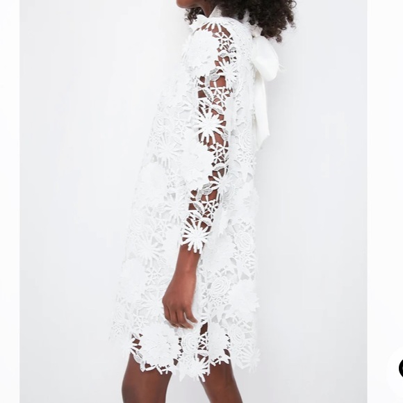 Blanc Guipure Lace Daphne Dress
TUCKERNUCK - Picture 3 of 10